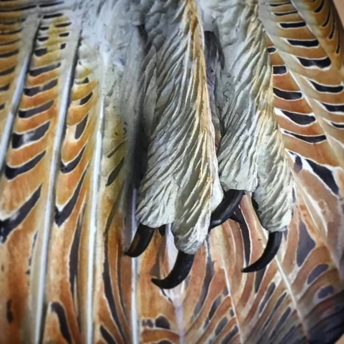Wooden Wall Decoration – Owl “Majestic”
