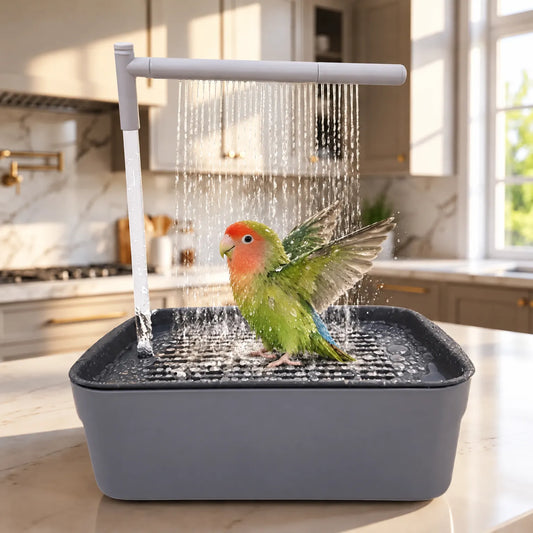 Small green parrot with an orange face spreading its wings under the falling water on a kitchen worktop. 2