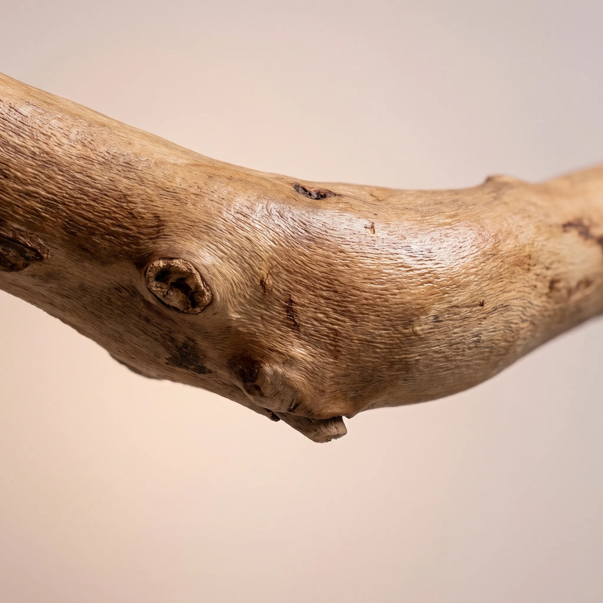 Close-up of the branch's textured surface, showing fine wood grain, small knots and natural bumps against a soft peach background. 4