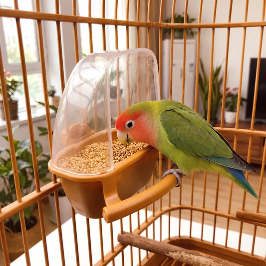Orange feeder hung on a bamboo cage, filled with seed, while a green lovebird with a red face eats from it. 2