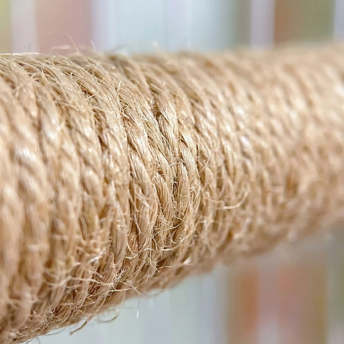 Close-up of the twisted natural fibre rope wrapped around the perch, showing its rough, fuzzy texture against a blurred background. 3