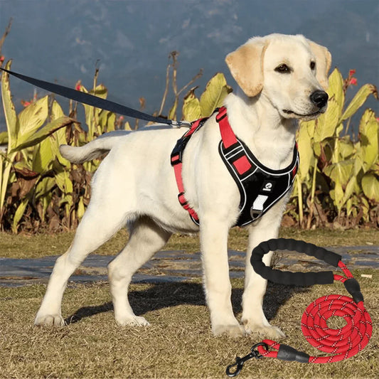 Anti-Trek Dog Harness with Comfort Padding – PullFree