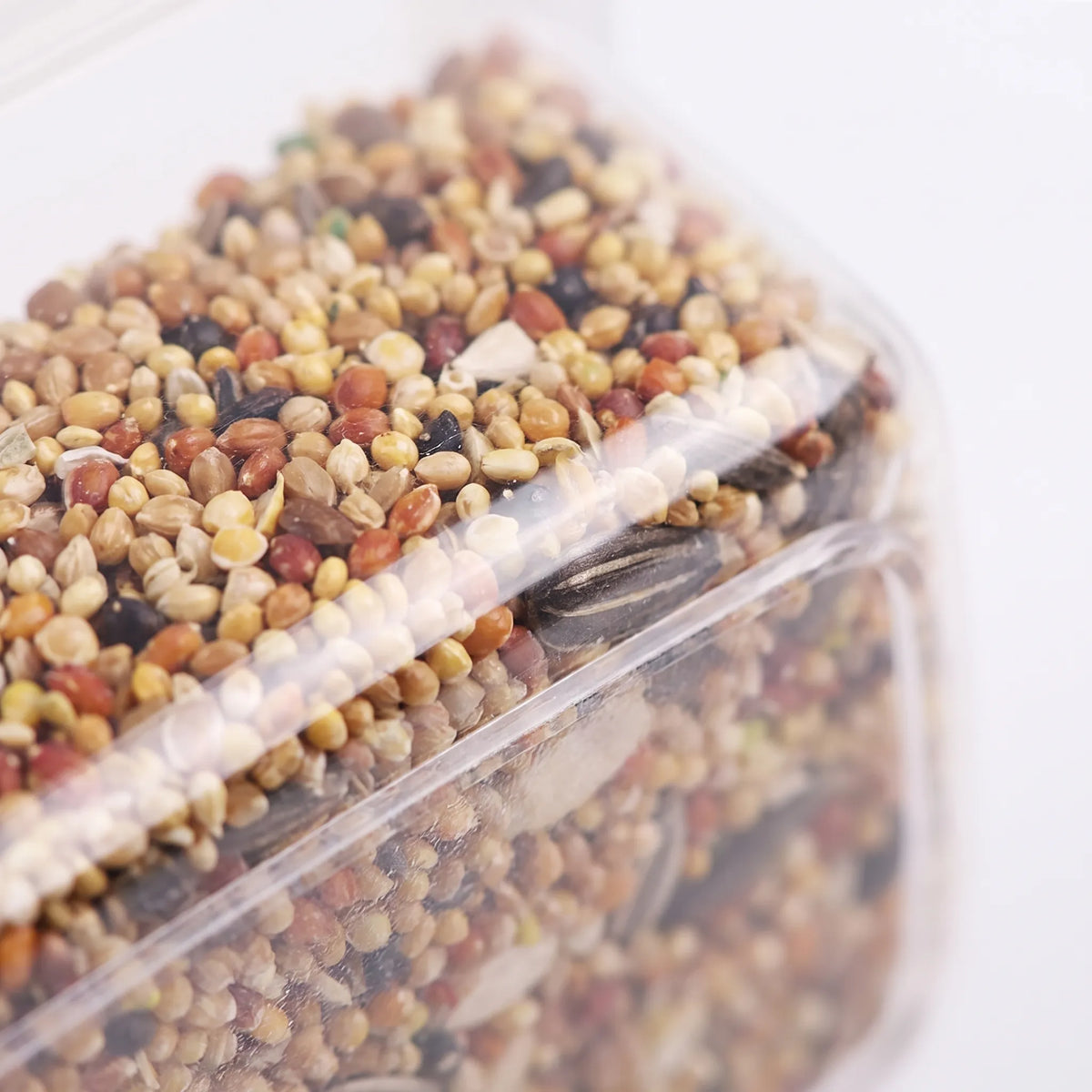Close-up of the transparent plastic wall of the feeder, showing the mixed seeds and husks packed inside. 3