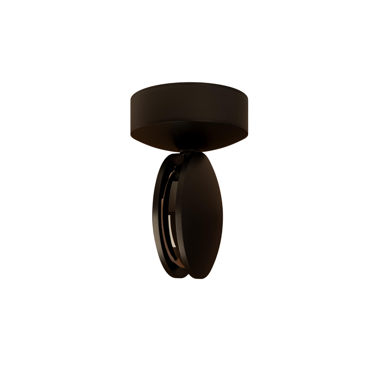 Black ceiling-mounted light with a round base and a sideways-turned round head, shown on a white background. 19
