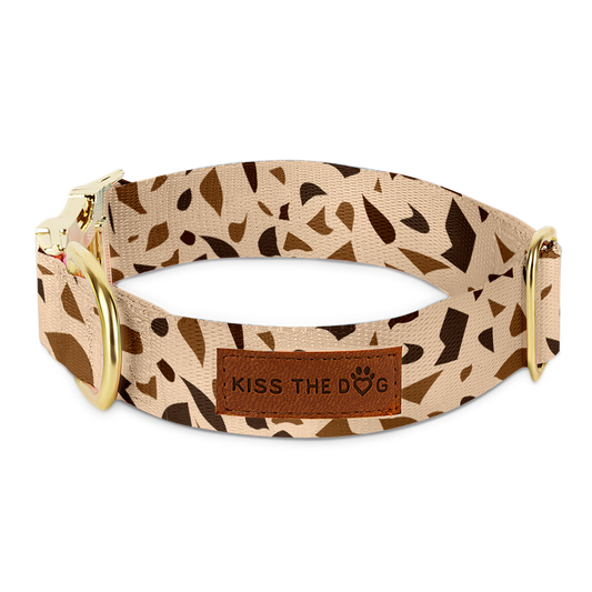 Dog Collar with Golden Accents – GoldenTerra