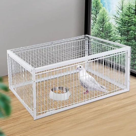 Animal-Friendly Bird Trap with Anti-Backlash Protection – BirdSafe Trap