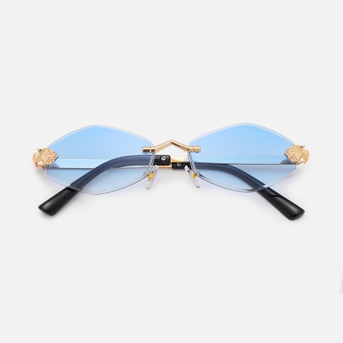 OAK Sunglasses 2