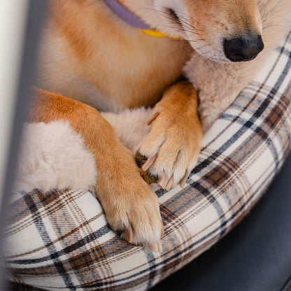 Plush Car Seat for Pets – RideSafe CozySeat