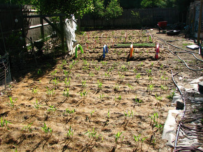 Refreshing Irrigation System - AquaCool