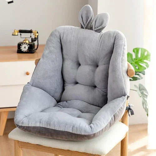 Seat support - EaseCushion