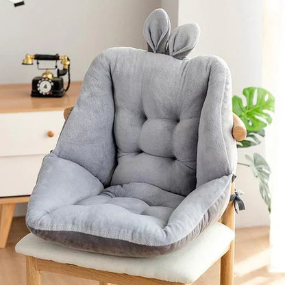 Seat support - EaseCushion