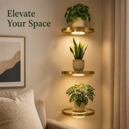 Three round gold shelves stacked on a cream wall, each glowing softly beneath a potted plant, beside a sofa and framed print. 1