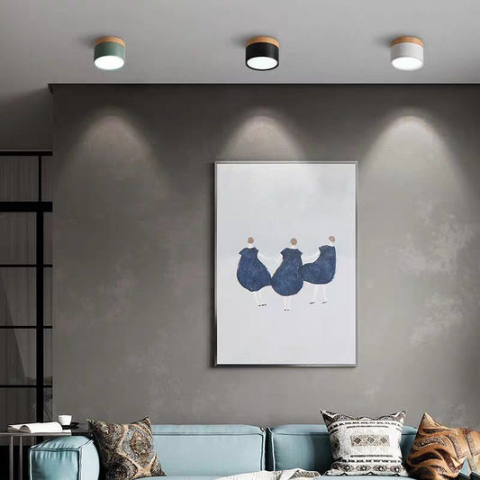 Morandi Style Modern LED Ceiling Light - LumiModo