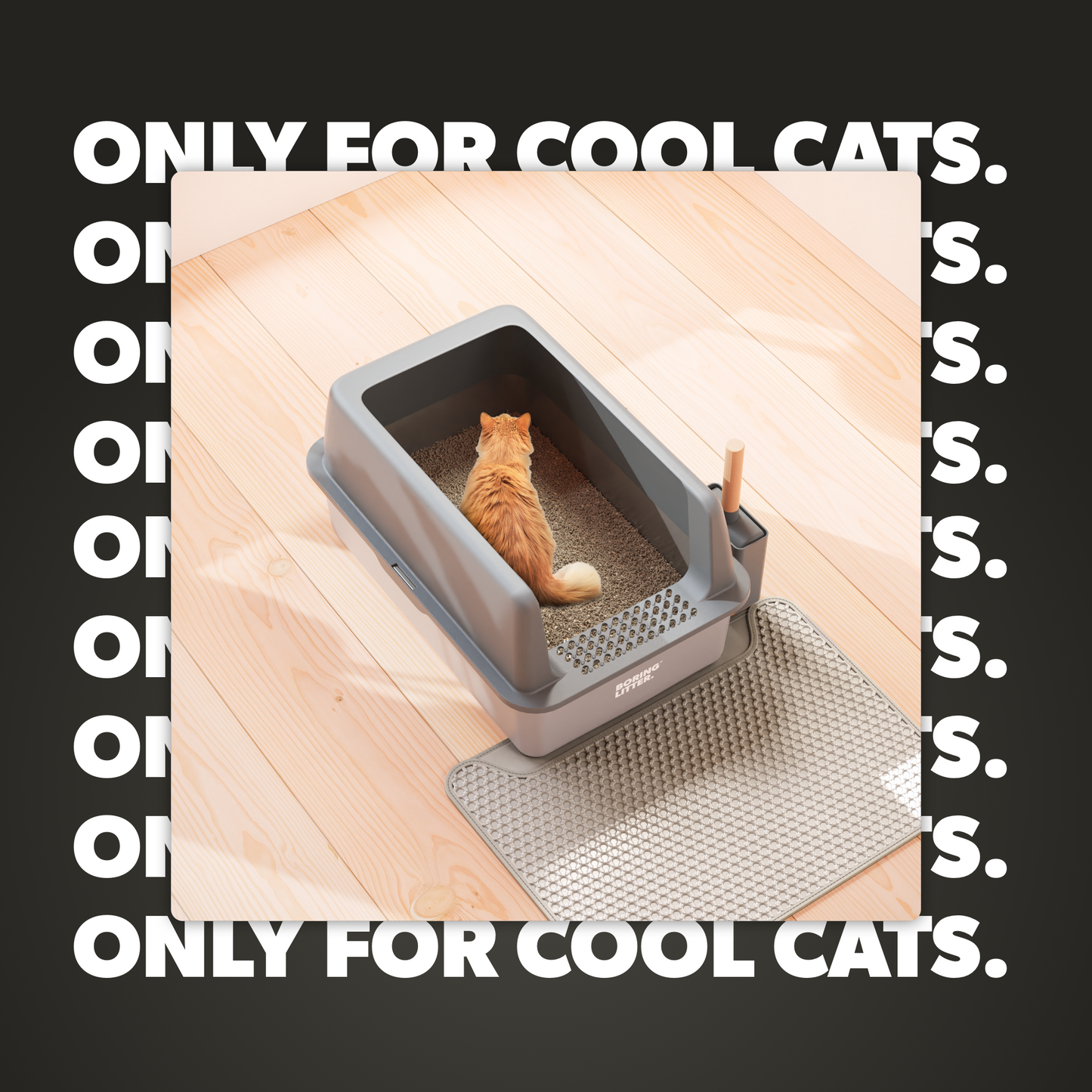 Stainless Steel Litter Box – SteelClean