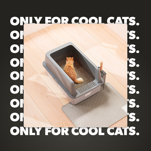 Stainless Steel Litter Box – SteelClean
