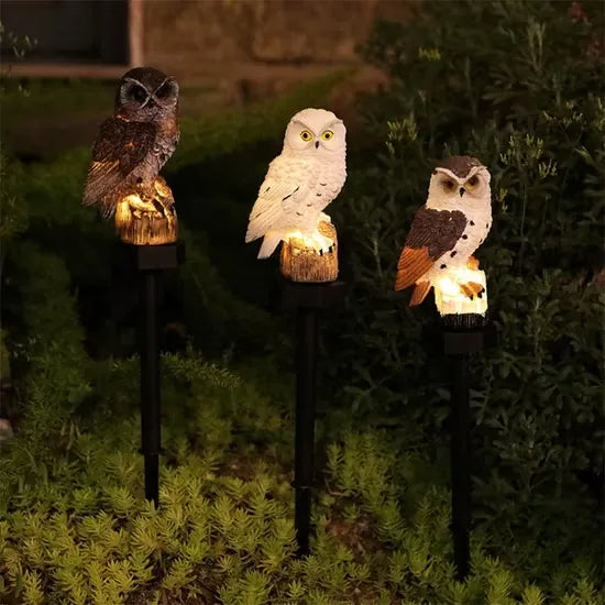 Three glowing owl lights in brown, white and brown-and-white colourways on stakes among low green plants at night. 5