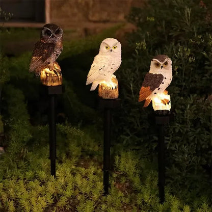 Three glowing owl lights in brown, white and brown-and-white colourways on stakes among low green plants at night. 5