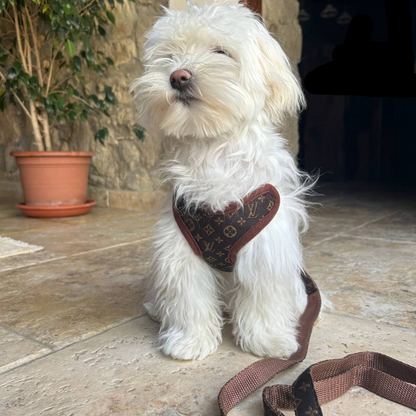 Dog Harness and Leash Set – PawLuxe