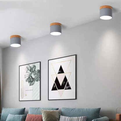 Morandi Style Modern LED Ceiling Light - LumiModo