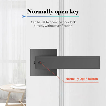 Smart fingerprint deadbolt lock with key access and 30-user capacity – Nivora