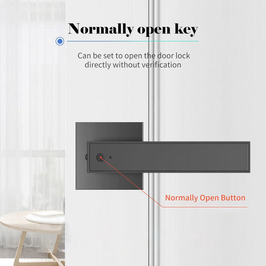 Smart fingerprint deadbolt lock with key access and 30-user capacity – Nivora