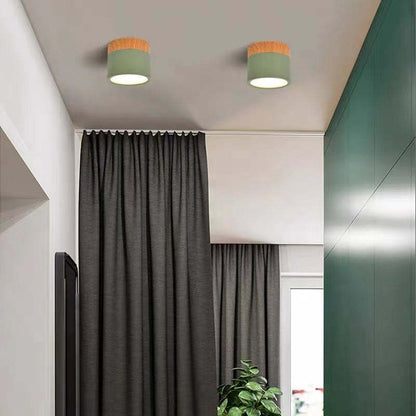 Morandi Style Modern LED Ceiling Light - LumiModo
