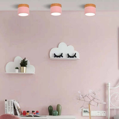 Morandi Style Modern LED Ceiling Light - LumiModo