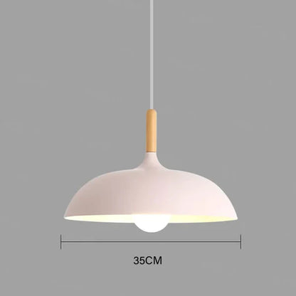 Ceiling Light in Scandinavian Oak - ScandiLuxe