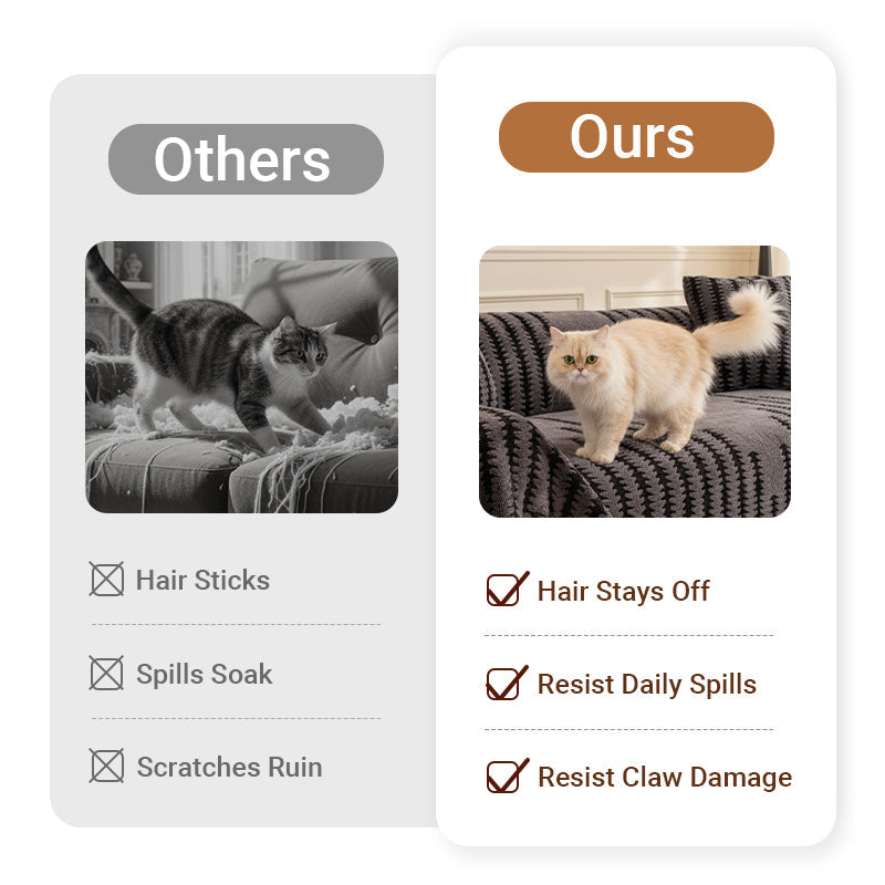 Side-by-side comparison of a cat damaging an ordinary sofa and a cat standing on the grey cover 4