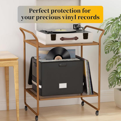 Fireproof storage case for vinyl records – waterproof organiser for 150+ 12-inch records – Arcion