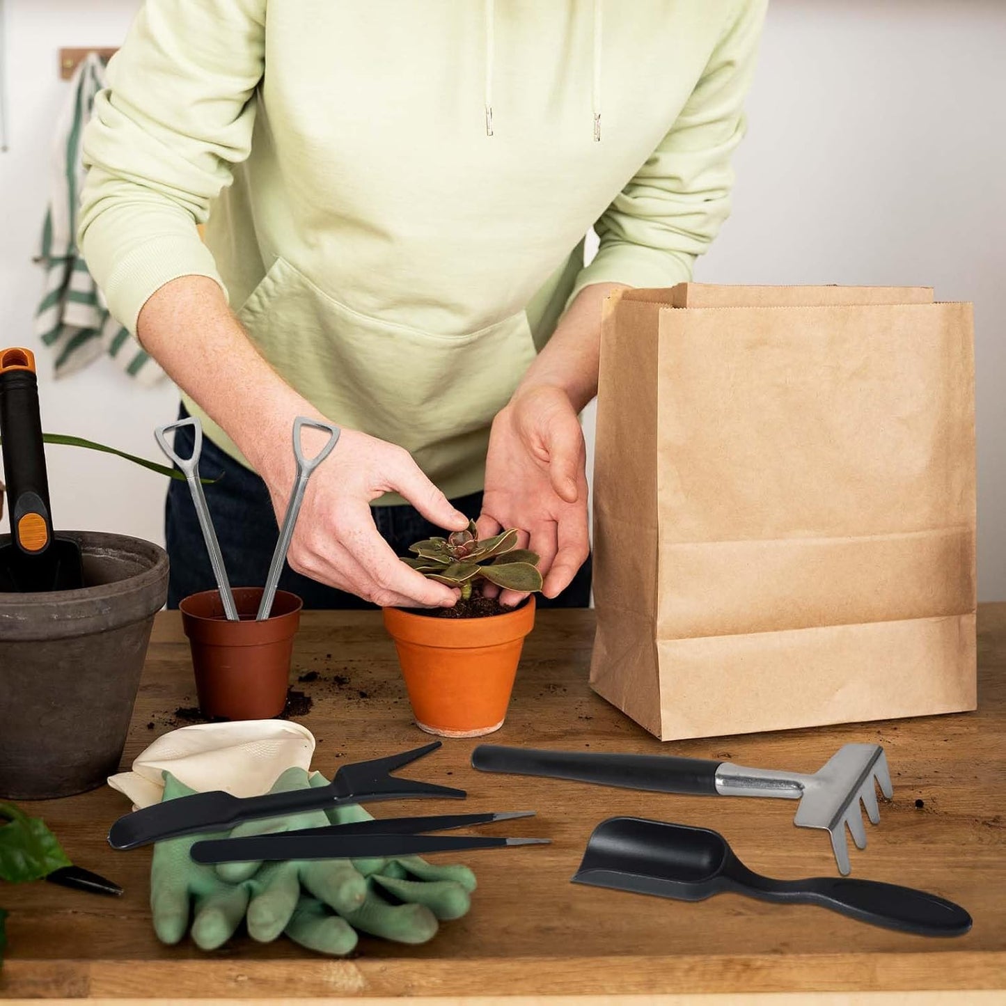 12-in-1 succulent tool set with storage bag for indoor gardening