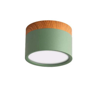 Morandi Style Modern LED Ceiling Light - LumiModo