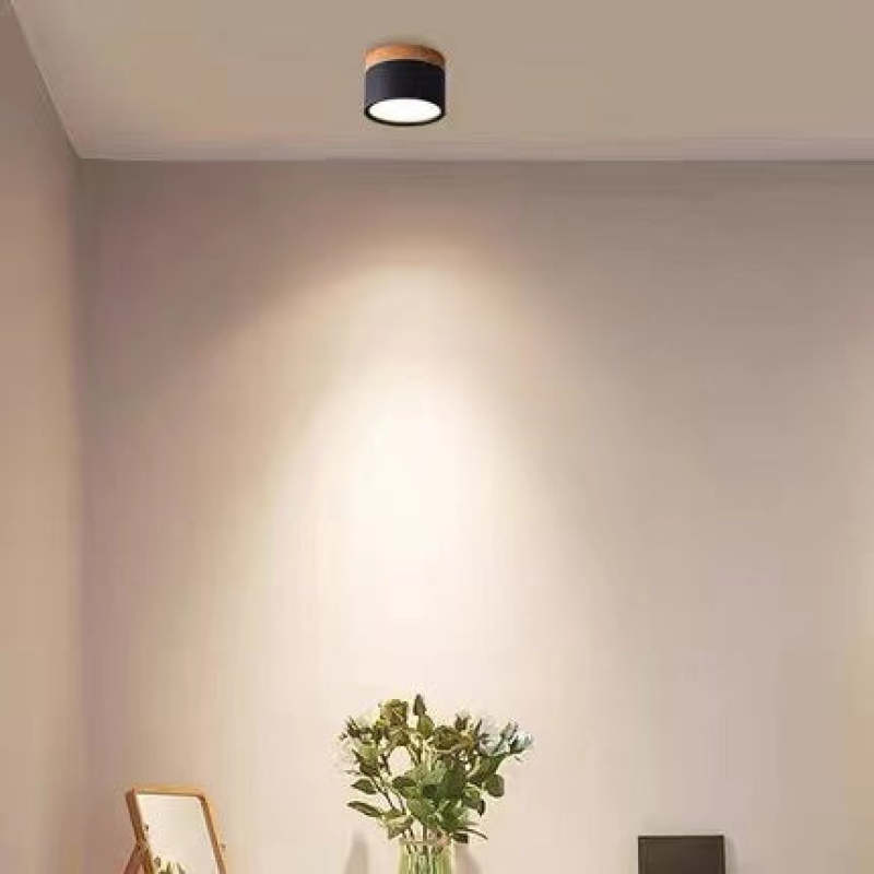 Morandi Style Modern LED Ceiling Light - LumiModo