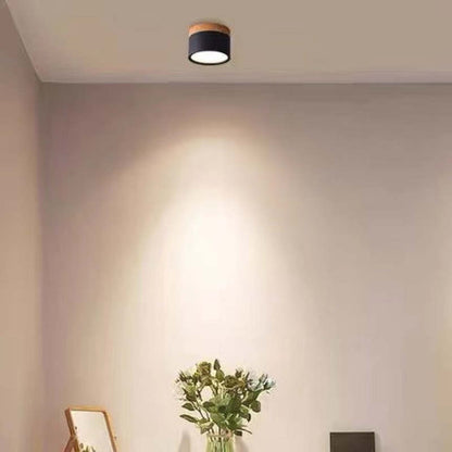 Morandi Style Modern LED Ceiling Light - LumiModo