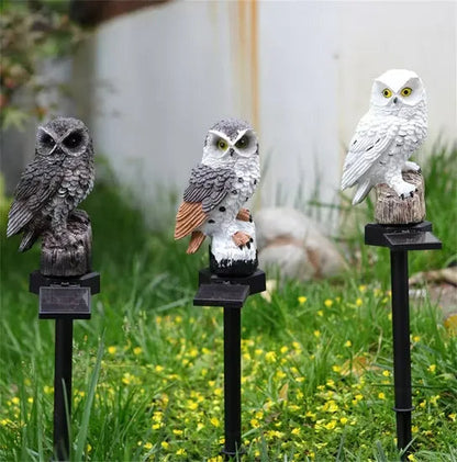 Three unlit owl lights on stakes by day on a lawn dotted with yellow flowers, solar panels visible beneath each owl. 11