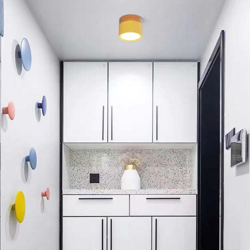 Morandi Style Modern LED Ceiling Light - LumiModo