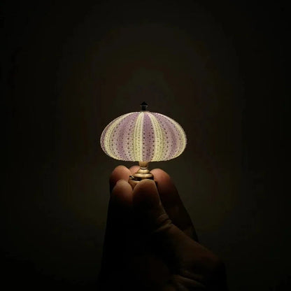 DIY Sea Urchin Night Light - LumiUrchin