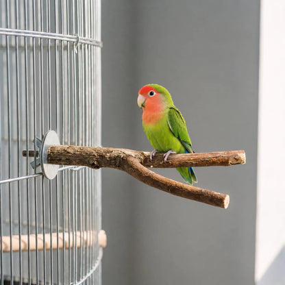 Green lovebird with a red face perched on a forked wooden branch fixed to the wire of a cage. 2