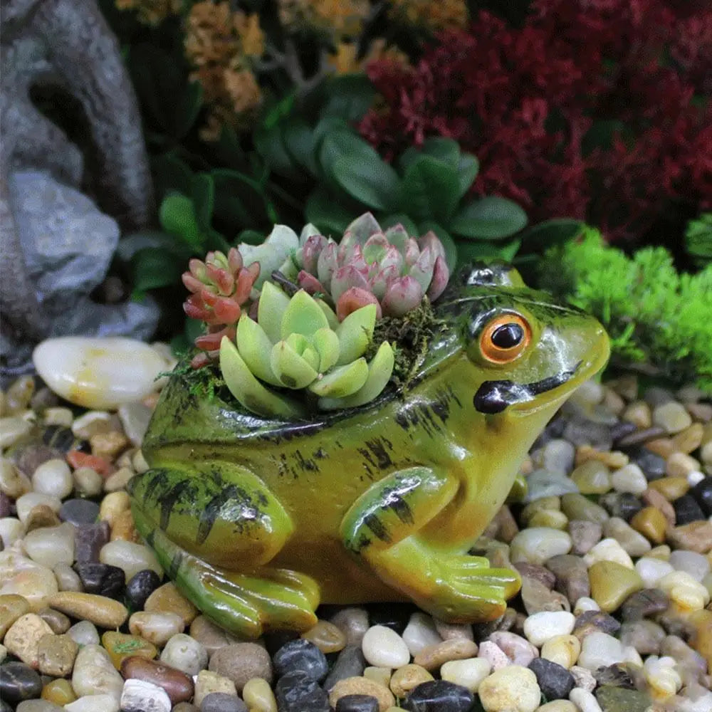 Cute Breathing Plant Pot - FroggyPot
