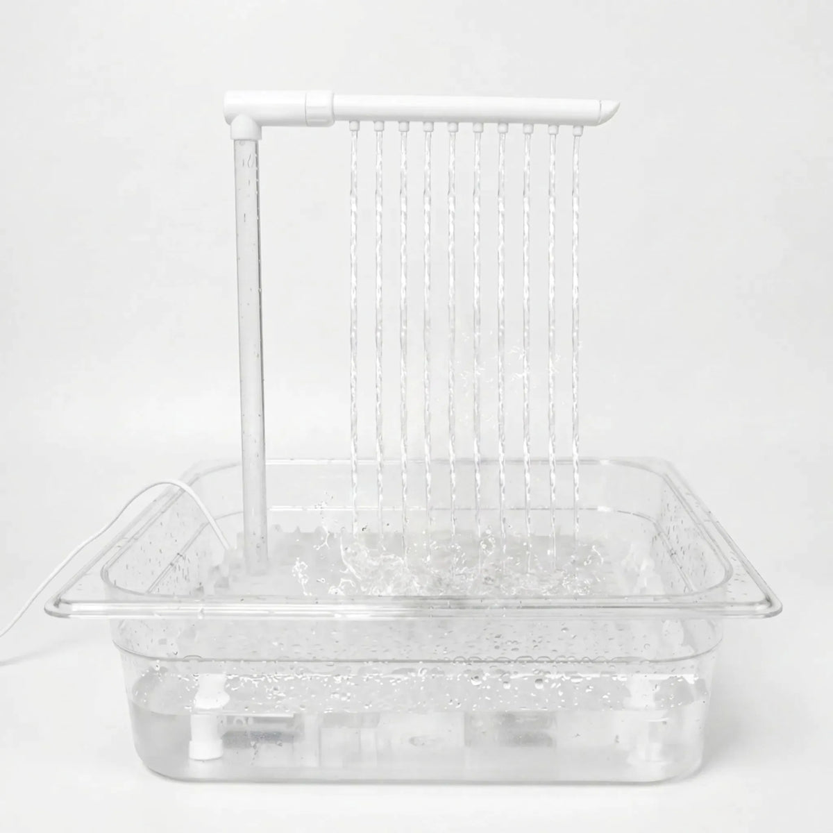Clear tray with a pump and overhead pipe running, ten thin streams of water falling into the filled basin against a plain background. 1