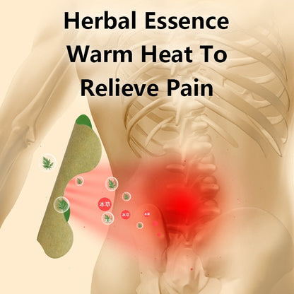 Back Pain Relief Kit - HerbalPatch
