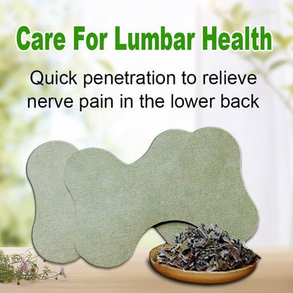 Back Pain Relief Kit - HerbalPatch