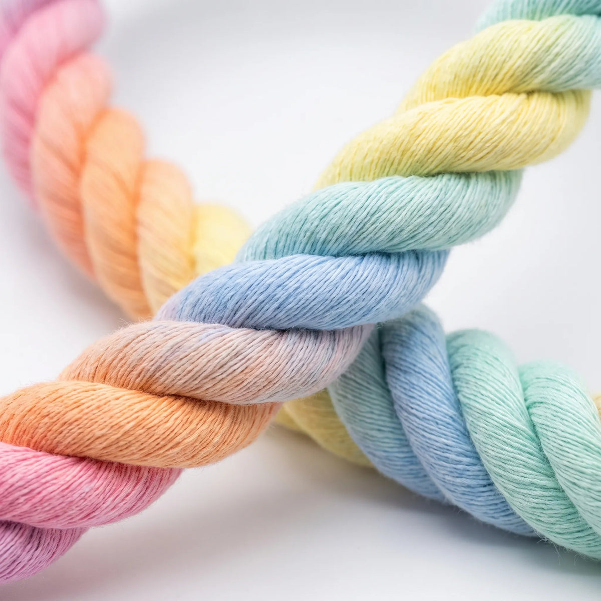 Close-up of the twisted rope strands fading from pink and orange through yellow and blue to mint green. 3