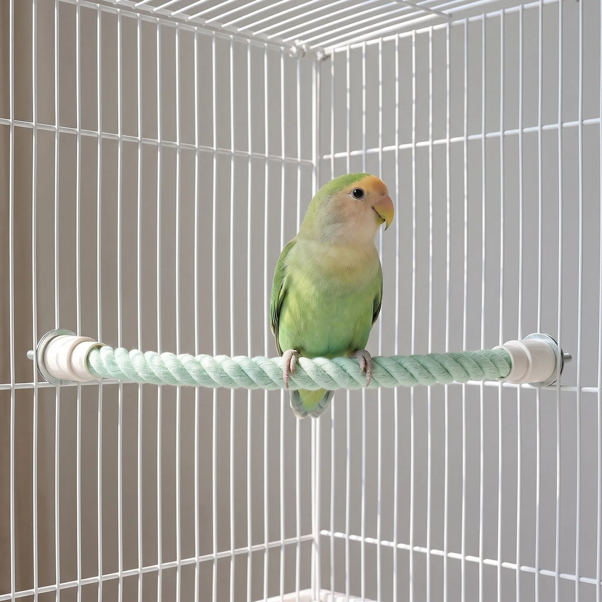Mint green rope perch fitted horizontally inside a white wire cage, with a peach-faced lovebird standing on it. 2