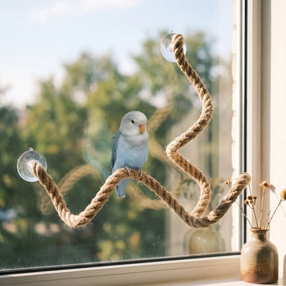 Pale blue parakeet perched on the zigzag rope perch stuck to a sunny window, with a small vase on the sill. 2
