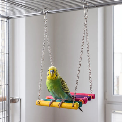 Green and yellow budgerigar perched on the multicoloured wooden swing, hung by two metal clips from the roof of a cage. 2