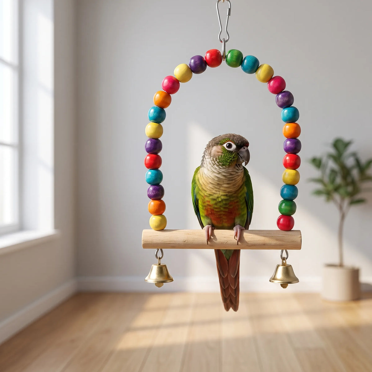 Green-cheeked conure sitting on the wooden perch of the swing, with a wooden floor and window in the background. 3