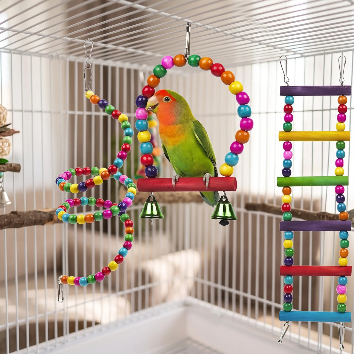 Green and orange lovebird on the bead arch swing, with the bead spiral and rainbow ladder hanging beside it in the cage. 3