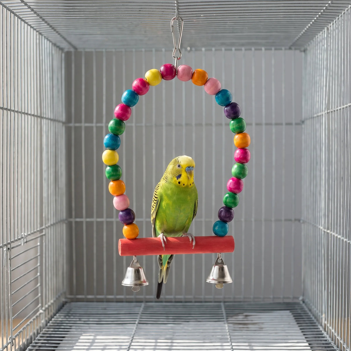 Green and yellow budgie perched on the arched wooden bead swing, which has a red perch and two silver bells. 3