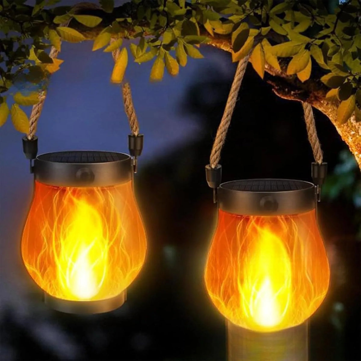 Two glowing lanterns hanging by their rope handles from a tree branch at night 7